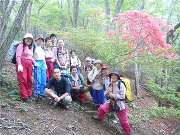 ◆　下山途中、見事なヤマツツジの下