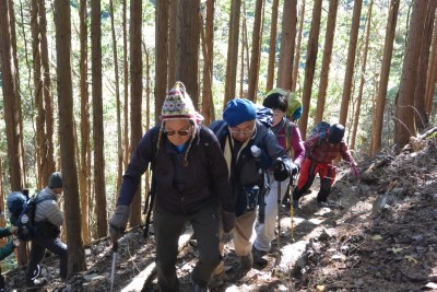 ◆陣馬山に向かってキツイ登りが続く◆