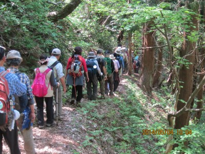 ◆秋取山登山　下りの一コマです◆