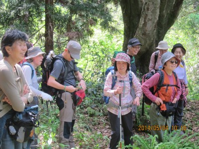 ◆秋取山登山　大木の側にて一休み◆