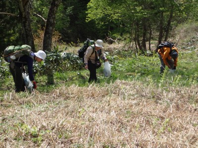 ◆唐倉山を下山した後は麓でのんびり山菜採り◆