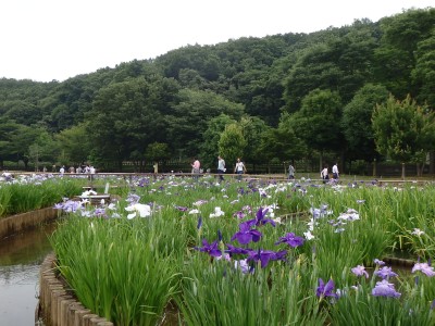 ◆八国山緑地＆北山公園２◆