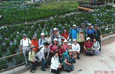 ◆北山公園・菖蒲祭り◆