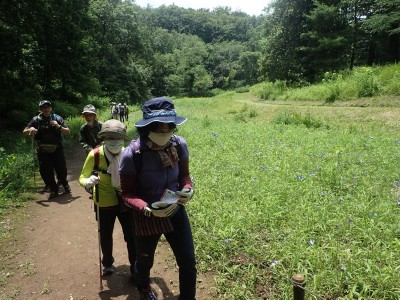 ◆秋の七草エリアではオミナエシやナデシコが見頃◆