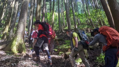 ◆枝尾根分岐に向け急登をこなす◆