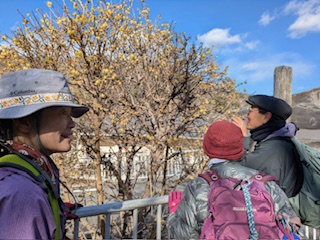 �����������̘X�~�ɊF�����~�߂Ă��܂���